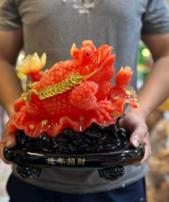 Tượng Thiềm Thừ Cóc Ngậm Tiền Ngồi Lá Sen Cao 25x35cm - Màu Đỏ