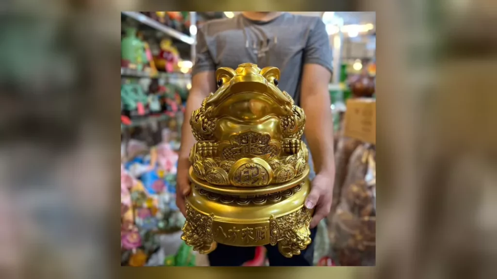 Thiềm Thừ là gì - hình ảnh sản phẩm minh họa
