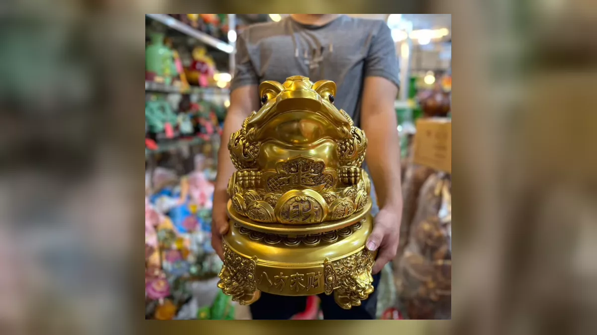 Thiềm Thừ là gì - hình ảnh sản phẩm minh họa
