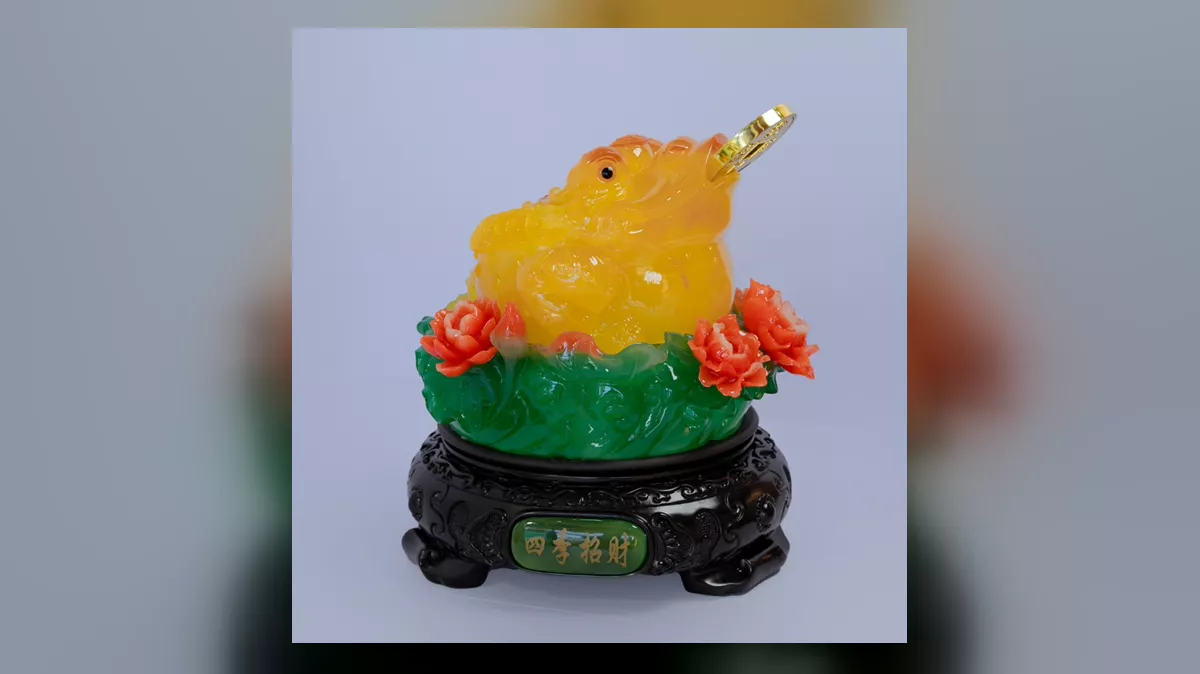 cách chọn Thiềm Thừ - hình ảnh sản phẩm minh họa