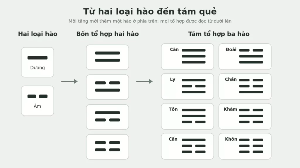 Sơ đồ từ hào âm dương qua bốn tổ hợp hai hào đến tám tổ hợp ba hào